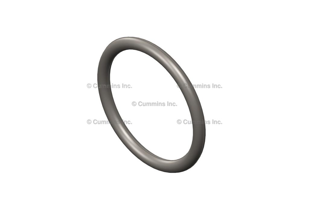 3818885, Cummins, Engine Components, SEALING RING - 3818885