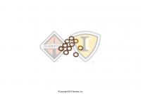 675477C1, Navistar International, Uncategorized, GASKET - 675477C1