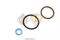 KIT, INJECTOR SEAL 466
