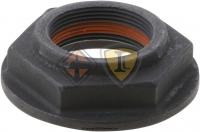 127589, Pacific Truck & Trailer, Differential Parts, NUT, PINION FLANGE, DIFFERENTIAL, M36 X 1.5 (55MM SOCKET) - 127589