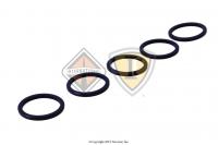 1842730C3, , Uncategorized, SEAL, RING CAMSHAFT, REAR, 02/15/2011 AND LATER - 1842730C3