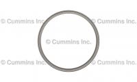 3004316, Cummins, Engine Components, SEAL - 3004316